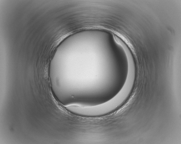 X0000115740905200912031425