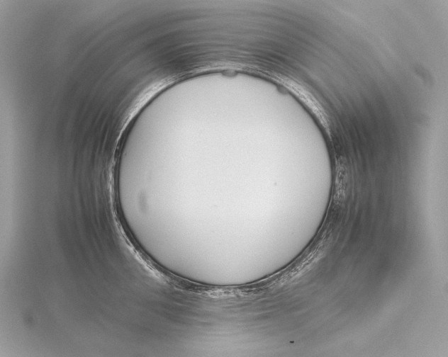 X0000115740906200912031425