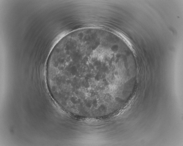 X0000115740907200912031425