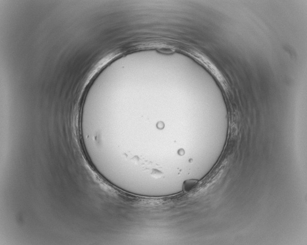 X0000115740909200912031425