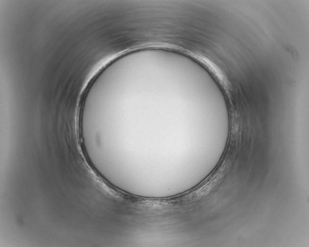 X0000115740910200912031425