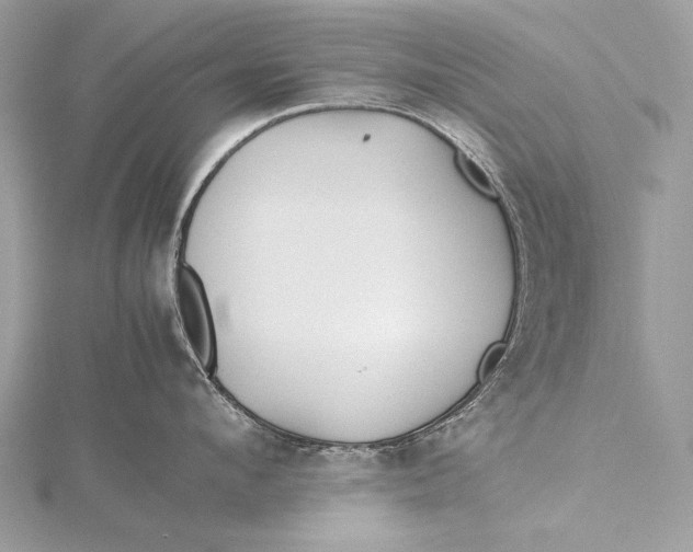 X0000115740912200912031425