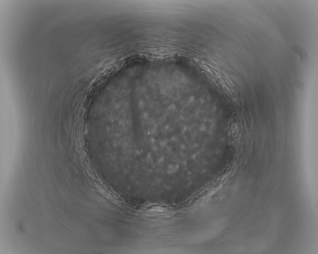 X0000115740913200912031424