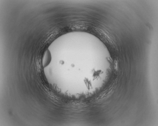 X0000115740915200912031424