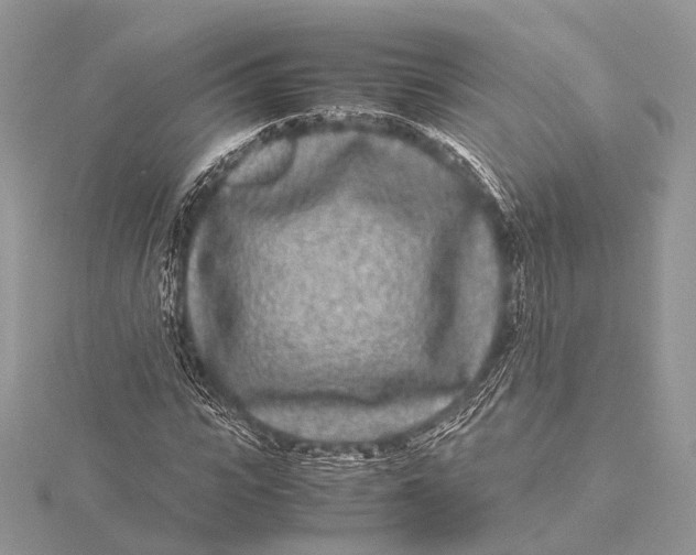 X0000115740919200912031424