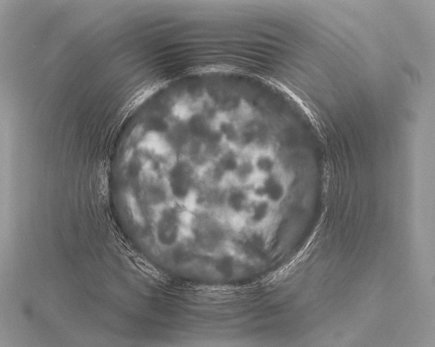 X0000115740921200912031424