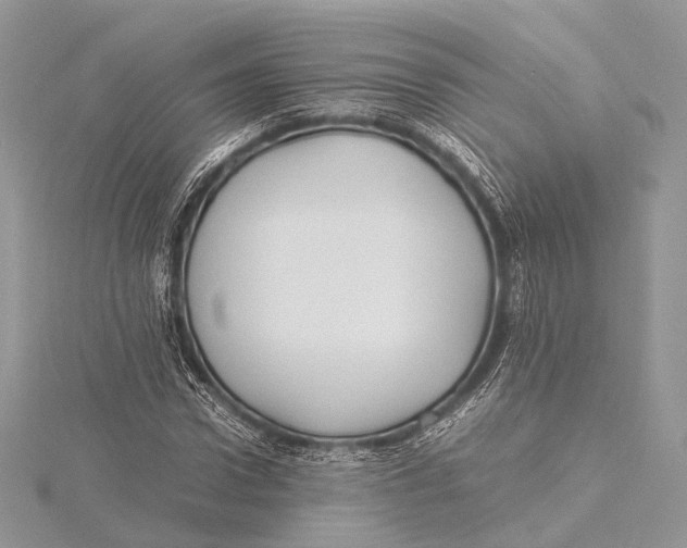 X0000115740922200912031424