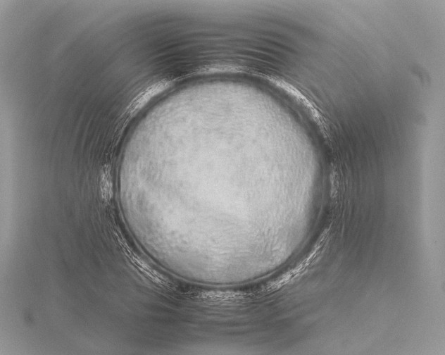 X0000115740929200912031424