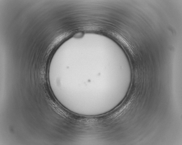 X0000115740930200912031424