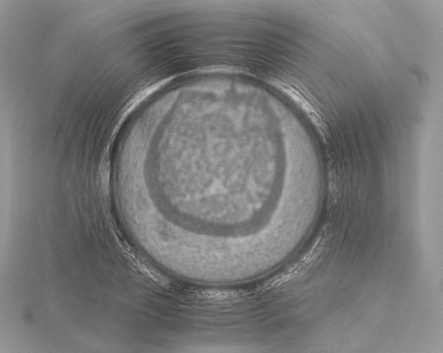 X0000115740933200912031424