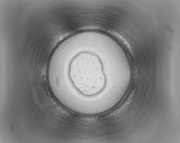 X0000115740937200912031424