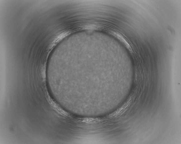 X0000115740938200912031424