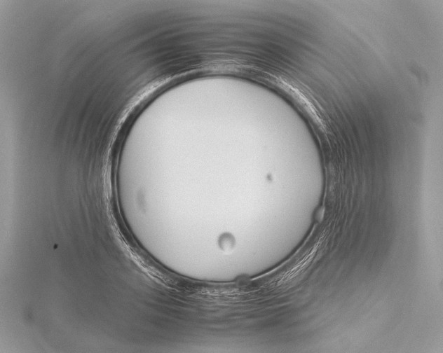 X0000115740939200912031424