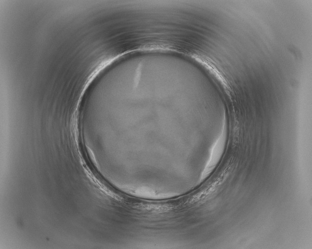 X0000115740941200912031424