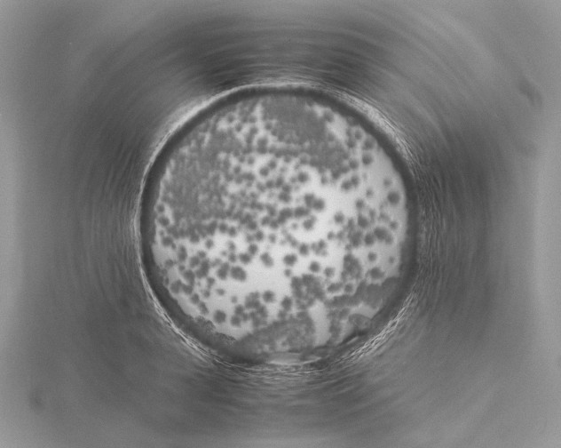 X0000115740943200912031424