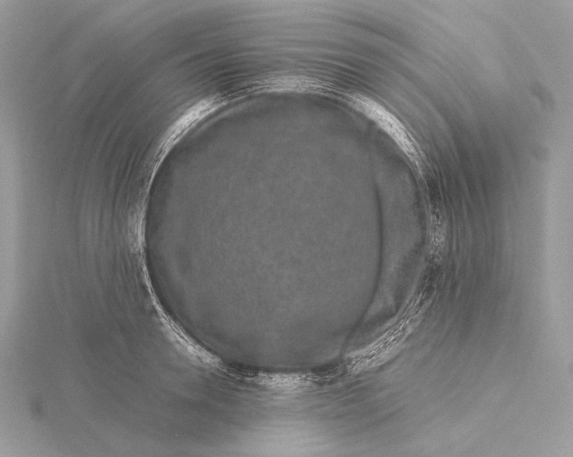 X0000115740946200912031424