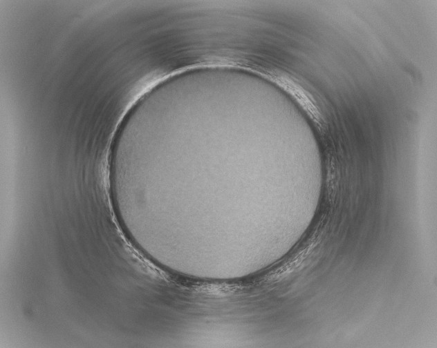 X0000115740950200912031424