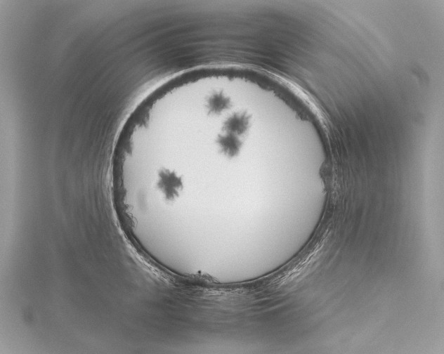 X0000115740951200912031424