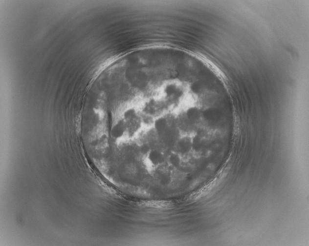 X0000115740953200912031424