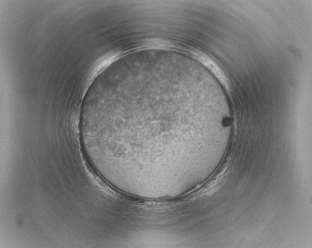 X0000115740954200912031424