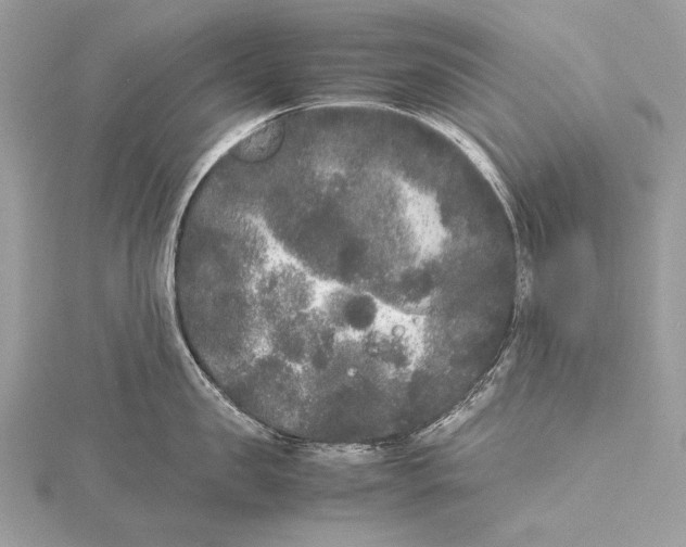 X0000115740957200912031424