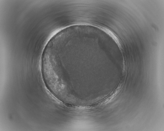 X0000115740958200912031424