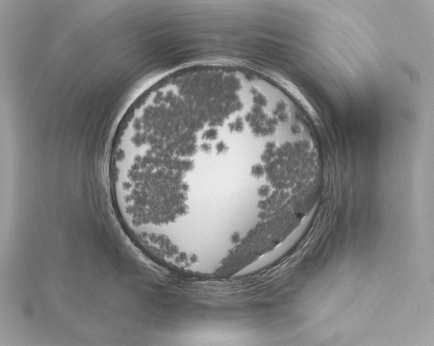 X0000115740959200912031424