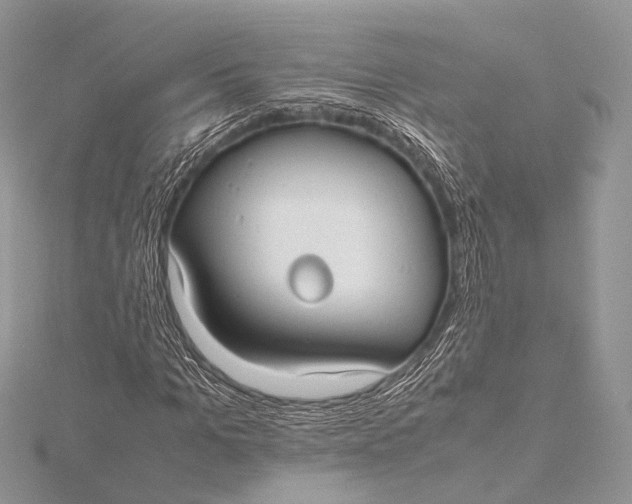 X0000115740965200912031424