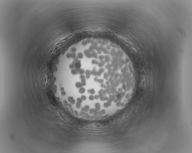 X0000115740966200912031424