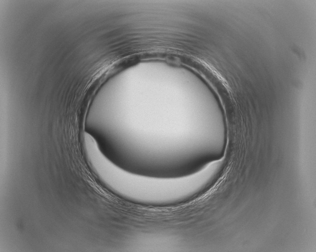 X0000115740969200912031424