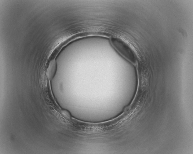 X0000115740973200912031424