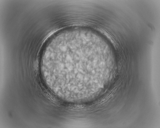 X0000115740975200912031424