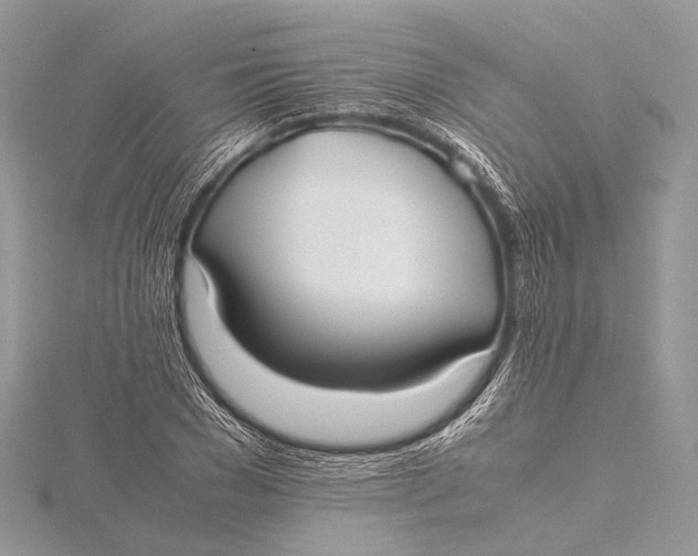 X0000115740977200912031424