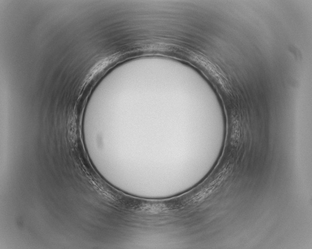 X0000115740978200912031424