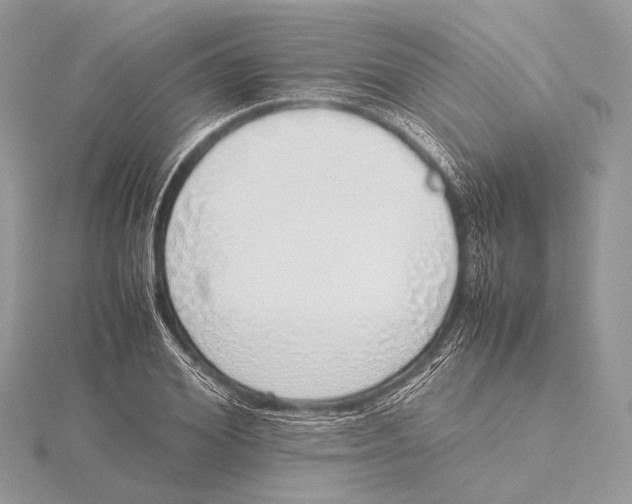 X0000115740980200912031424