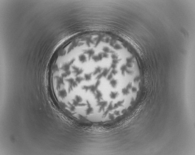 X0000115740983200912031424