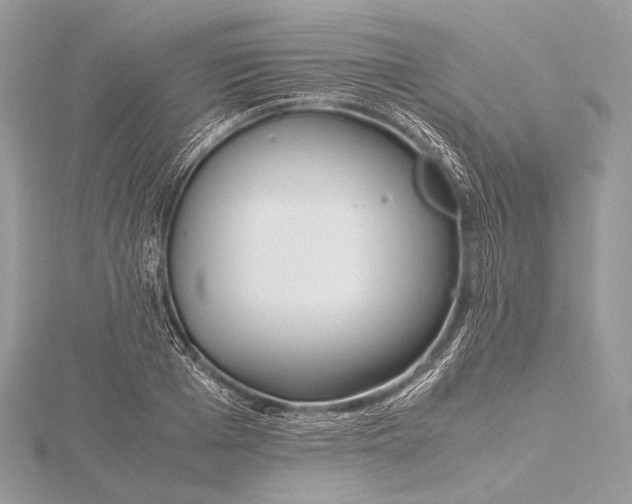 X0000115740985200912031424