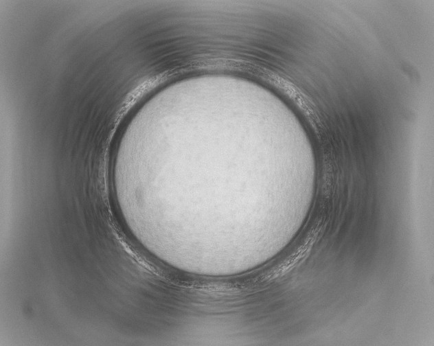 X0000115740986200912031424