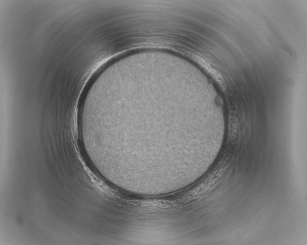 X0000115740988200912031424