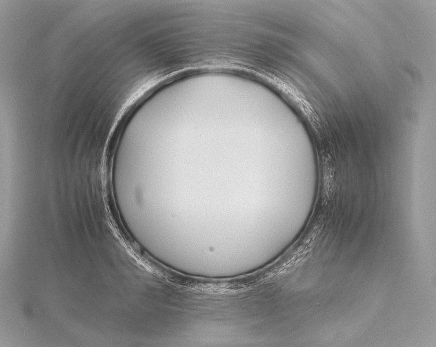 X0000115740990200912031424