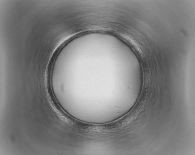 X0000115740991200912031424