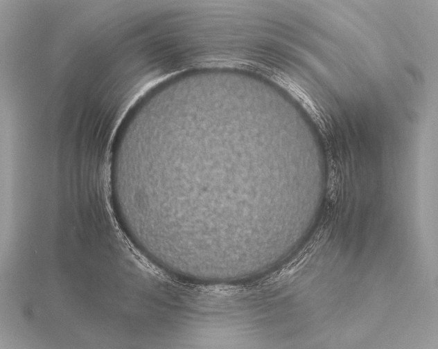 X0000115740992200912031423