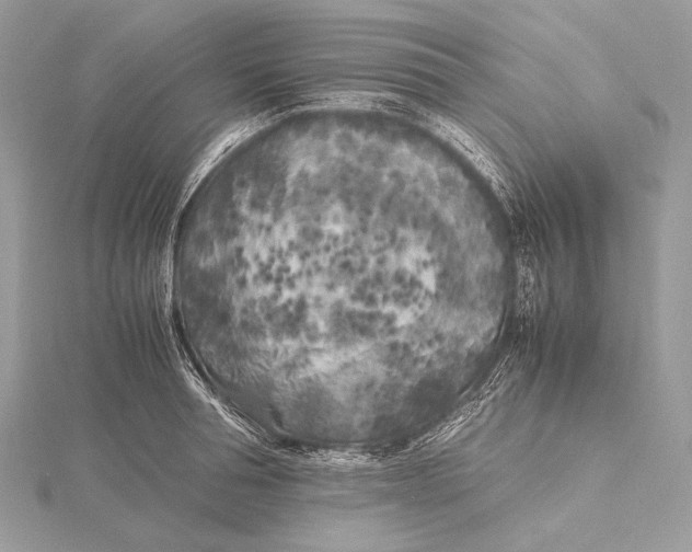 X0000115740994200912031423