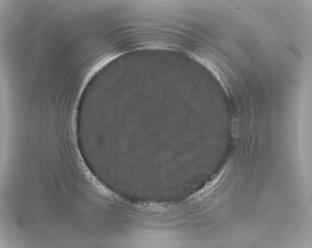 X0000115740995200912031423