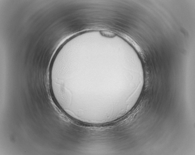 X0000115740996200912031423