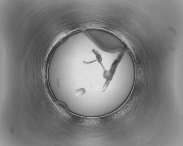 X0000115740997200912031423