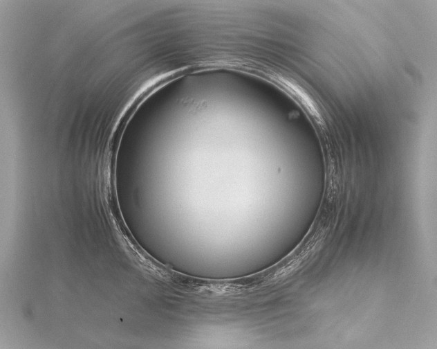 X0000115741000200912031423