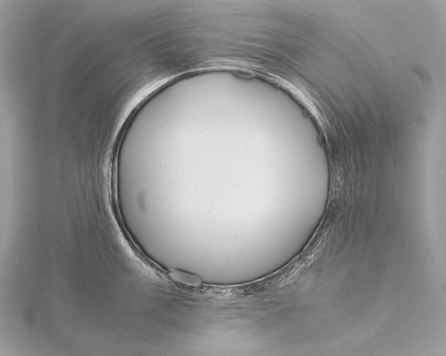 X0000115741003200912031423