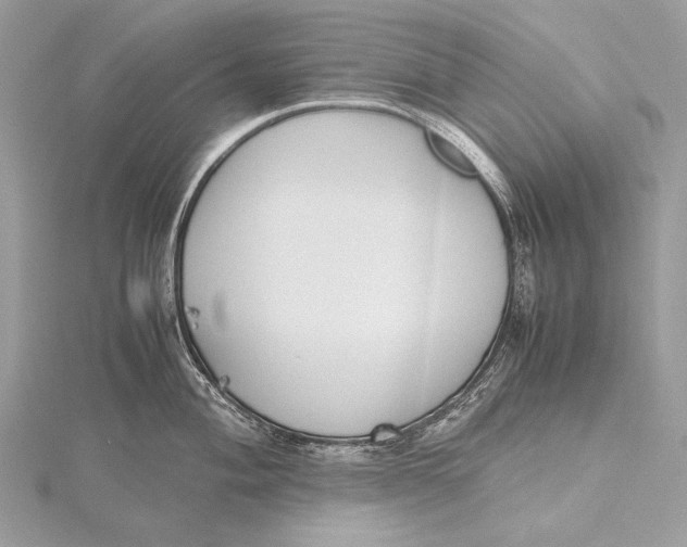 X0000115741004200912031423