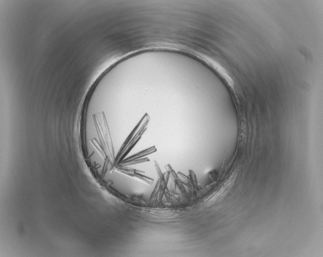 X0000115741007200912031423